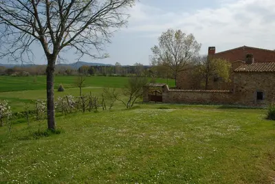 Jardín al aire libre en El Mas Pla