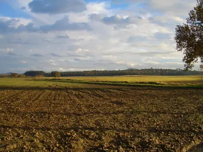 Paisaje cerca of this country house