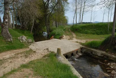 Paisaje cerca of this country house