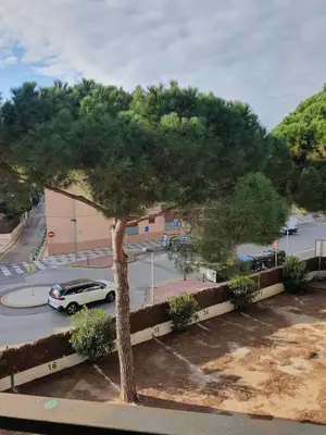 Paisaje cerca de este apartamento