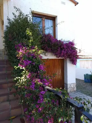 Jardín al aire libre en CA L' ANGELINA