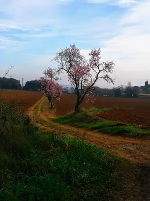 Paisaje cerca de esta villa