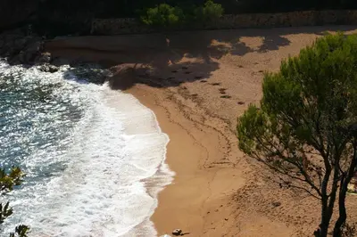 Paisaje cerca de este apartamento