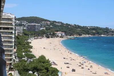 Paisaje cerca de este apartamento