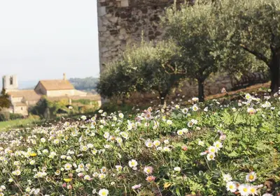 Jardín al aire libre en Can Gich