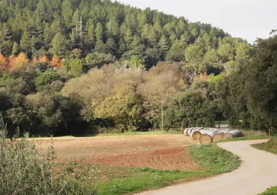 Paisaje cerca of this country house