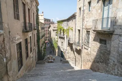 El barrio de los alrededores o un barrio cerca de este apartamento