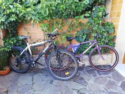 Montar en bicicleta en Nueva suite jacuzzi relax beach & mountain o alrededores