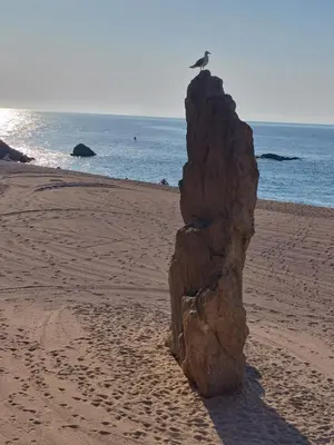 Paisaje cerca de este apartamento