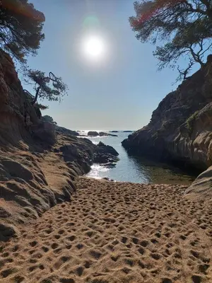 Paisaje cerca de este apartamento