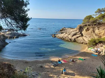 Paisaje cerca de este apartamento
