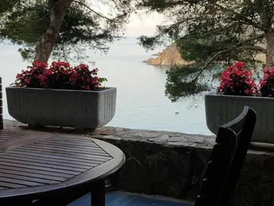 Paisaje cerca de este apartamento