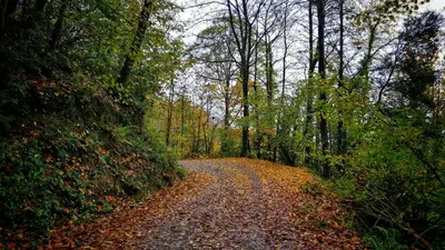 Paisaje cerca de este chalet de montaña