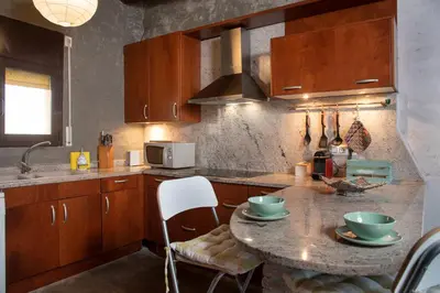 Una cocina o zona de cocina en La Caseta del Mas Valls
