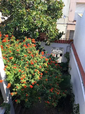 Jardín al aire libre en VISTAS PRIVILEGIADAS
