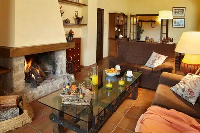Zona de estar de Mas can Salvi