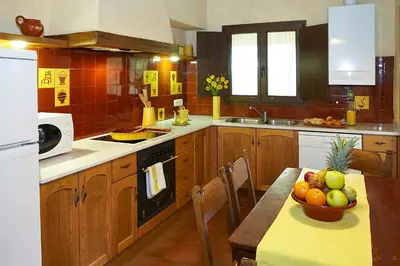 Una cocina o zona de cocina en Mas can Salvi
