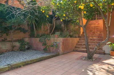 Jardín al aire libre en B-39 BEGUR 2 PAX