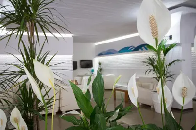Plano de Hotel Villa Garbí