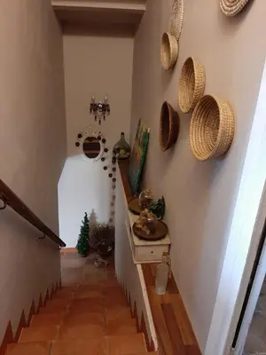 Plano de Casa Rural 