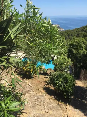Paisaje cerca de este apartamento