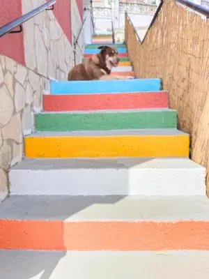 Plano de Casaemy