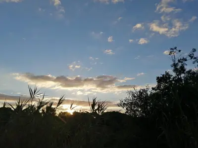 Paisaje cerca de este apartamento