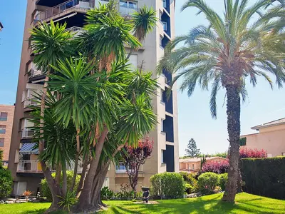 Jardín al aire libre en Apartment Edificio Blanqueries by Interhome