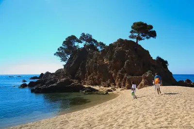 Paisaje cerca de este apartamento
