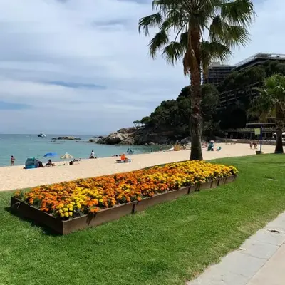 Apartamento en Torre Valentina