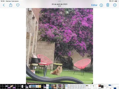 Jardín al aire libre en Torre con vistas