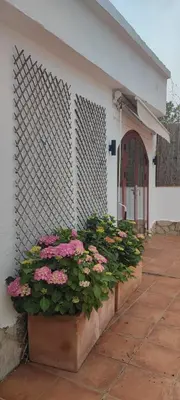 Jardín al aire libre en Detached villa for 6 People in Lloret de Mar with comunal Outdoor swimming pool