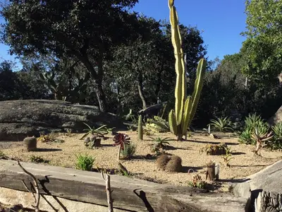 Jardín al aire libre en Casa Feliz