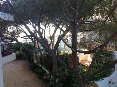 Jardín al aire libre en Apartament Turístic Alhambra