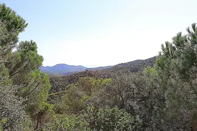 Paisaje cerca de esta villa