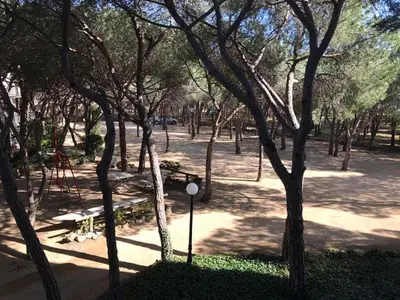 Jardín al aire libre en CIBELES 1-5