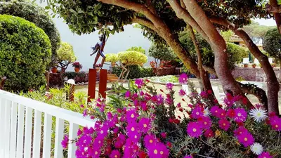 Jardín al aire libre en Casa con jardín a 30 metros de la playa. VL.