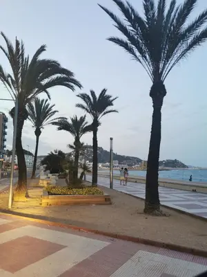 Paisaje cerca de este apartamento