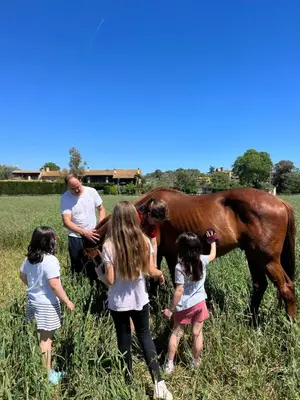 Animales en the country house o alrededores