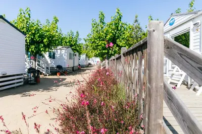 Jardín al aire libre en Camping Tucan - Mobile Homes by Lifestyle Holidays