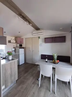 Una cocina o zona de cocina en Camping Tucan - Mobile Homes by Lifestyle Holidays