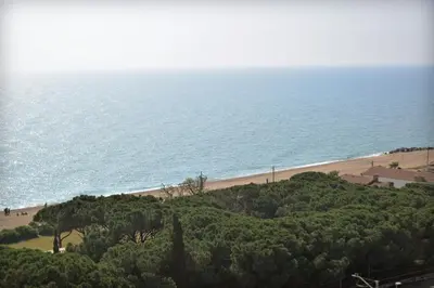 Paisaje cerca de este apartamento