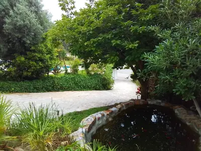 Jardín al aire libre en Villa Max