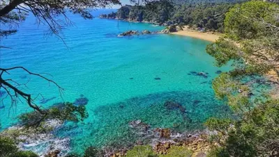 Paisaje cerca de este apartamento