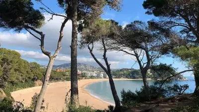 Paisaje cerca de este apartamento