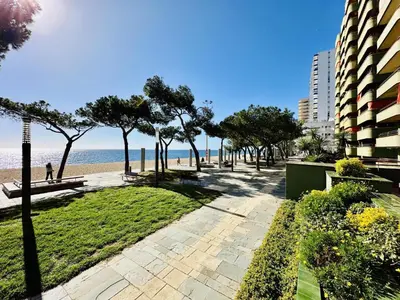 Paisaje cerca de este apartamento