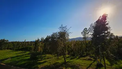 Paisaje cerca de esta villa