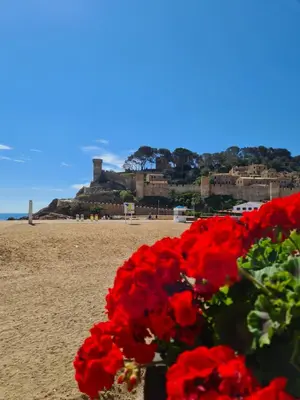 Paisaje cerca de este apartamento