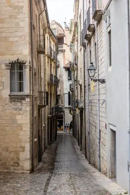 El barrio de los alrededores o un barrio cerca de este apartamento