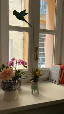 Plano de Apartamento con encanto y terraza en Barri Vell de Girona, El Cul de la Lleona
